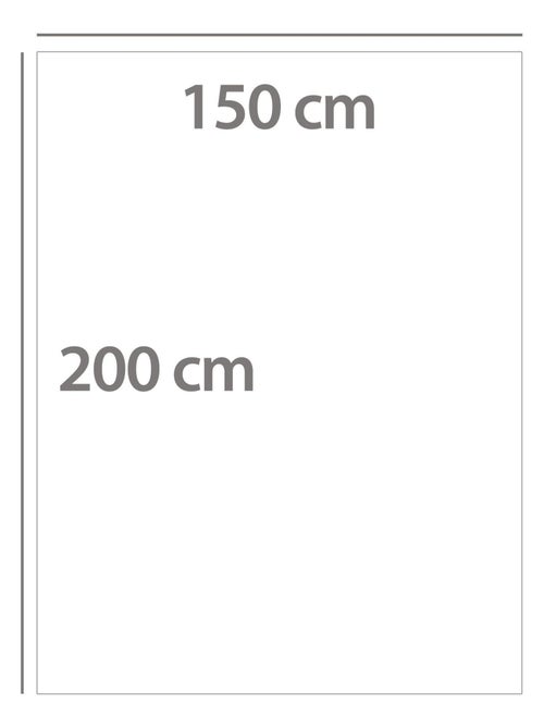 Plaid 150x200 LYNX en fausse fourrure doublée velours - Kiabi