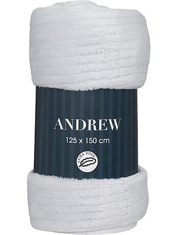 Plaid ANDREW