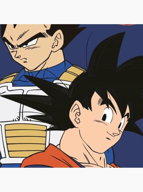 Plaid Dragon Ball Z - Son Goku et Vegeta - 140x100 cm - Kiabi