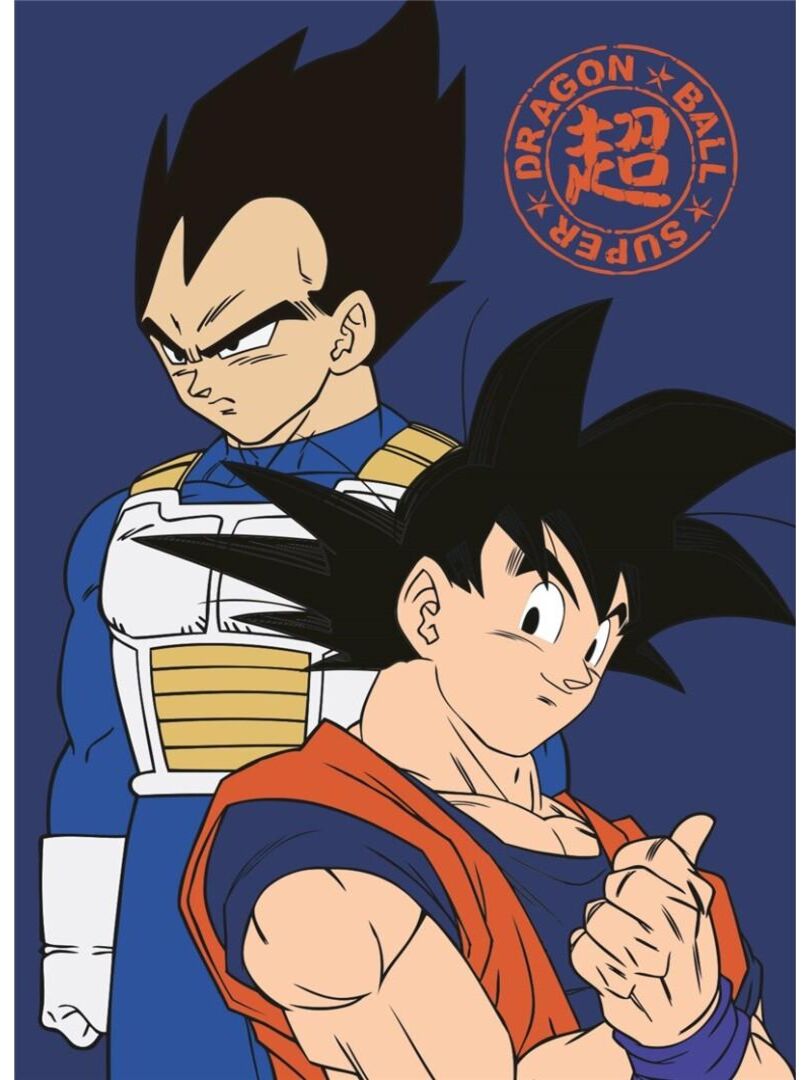 Plaid Dragon Ball Z - Son Goku et Vegeta - Multicolore - Kiabi