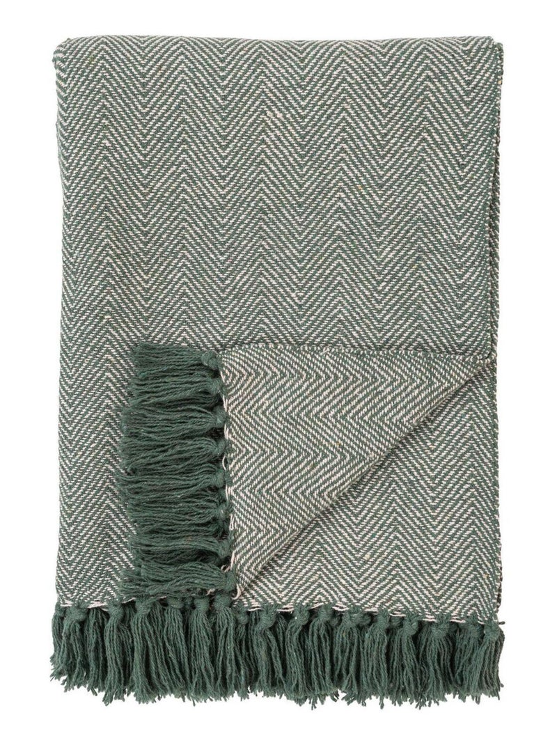 Plaid en coton motifs rayés verts et blancs 130 x - House Nordic Vert - Kiabi