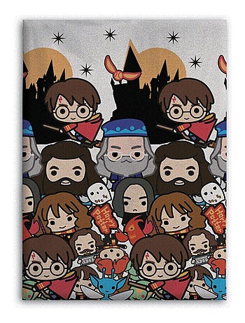 Plaid Harry Potter tous les personnages dessinés - 140x100