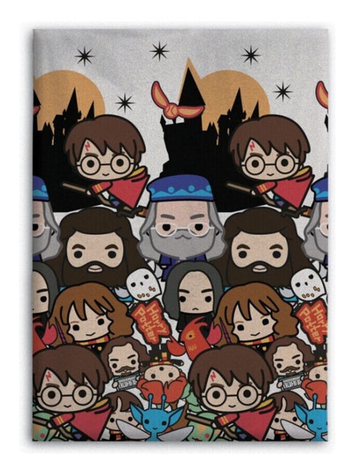 Plaid Harry Potter tous les personnages dessinés - 140x100 - Kiabi