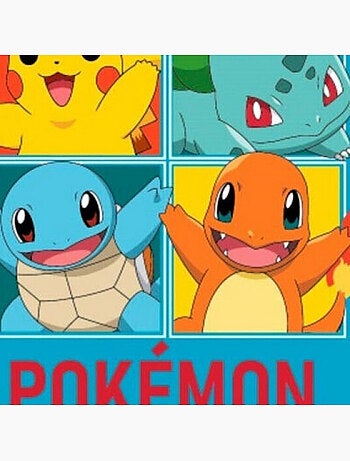 Plaid Pokémon - Prêt Pour La Bataille - Bleu