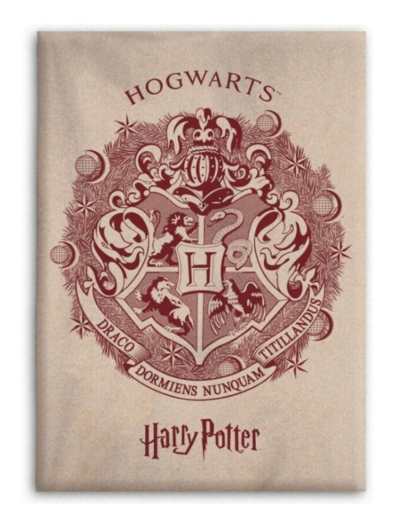 Plaid Polaire en flanelle  - Harry Potter - 110 cm x 150 cm Multicolore - Kiabi
