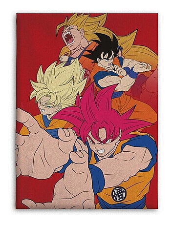 Plaid Polaire en flanelle Dragon Ball Z - Son Goku et Son Gohan - Rouge