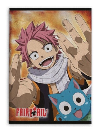 Plaid polaire Fairy Tail - Multicolors