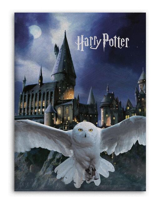 Plaid polaire Harry Potter - 100x140 cm - Kiabi