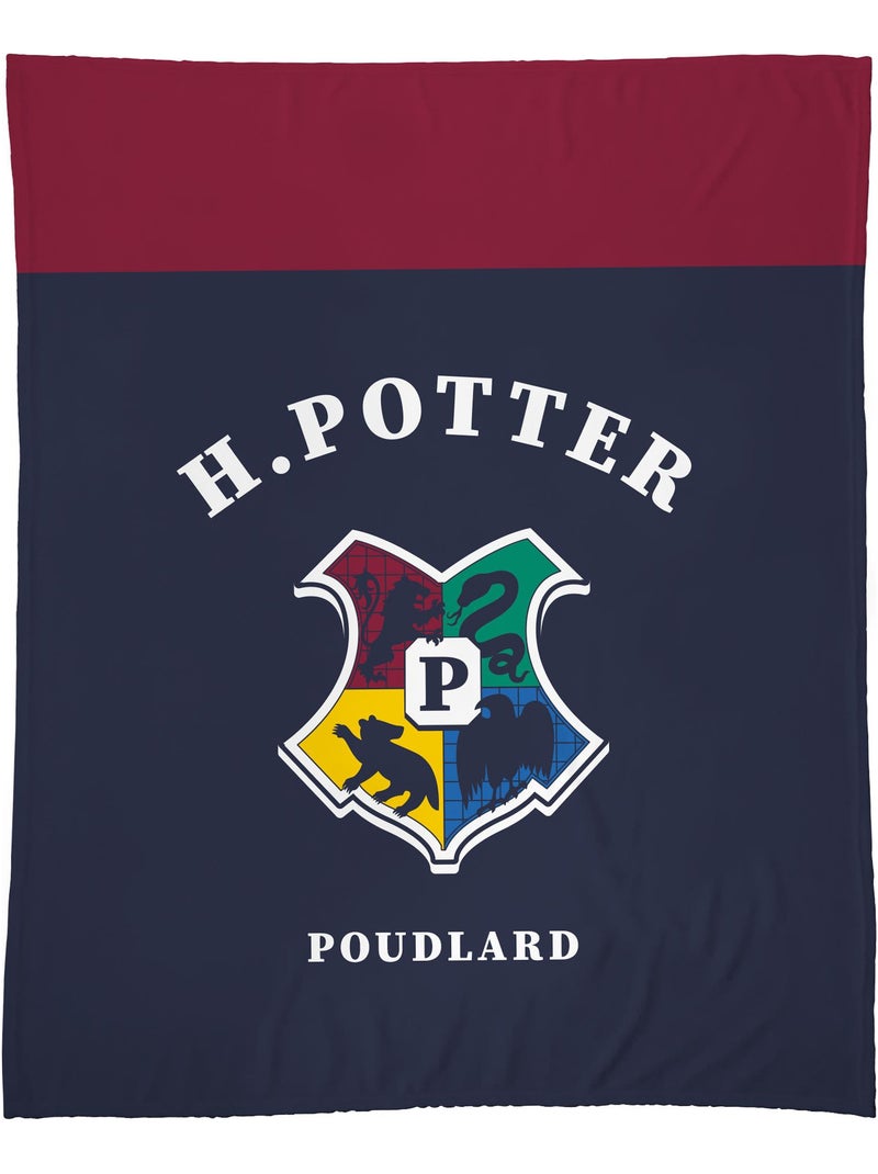 Plaid polaire imprimé, HARRY POTTER STRIPE Bleu - Kiabi