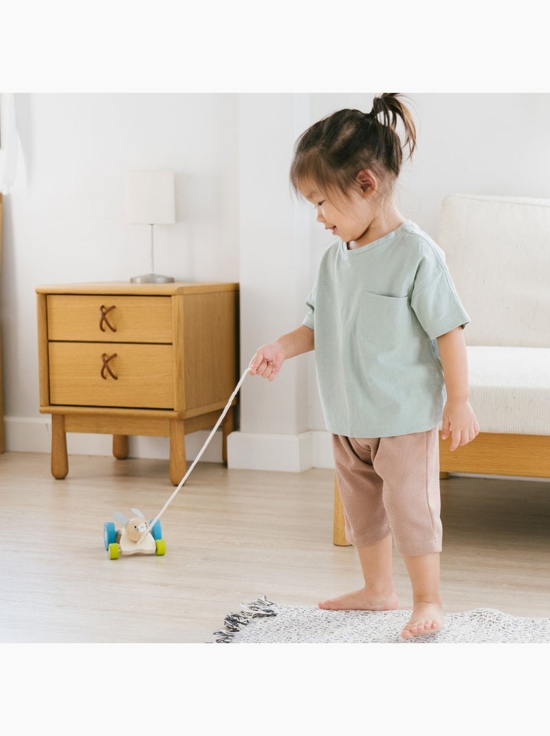 Plan Toys - Lapin sautillant à tirer Multicolore - Kiabi