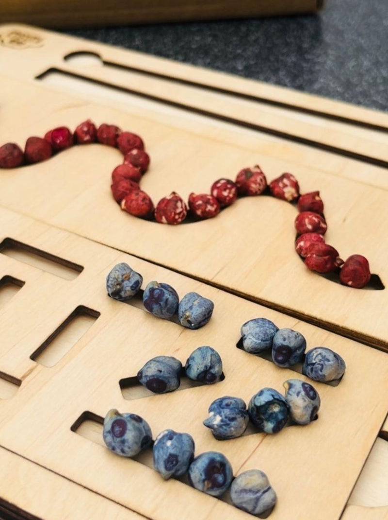 Planches graphomotrices en bois Beige - Kiabi