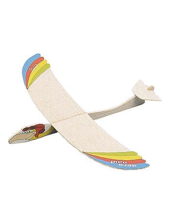 Planeur bird
