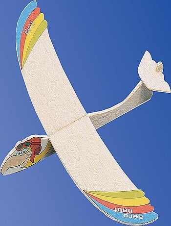 Planeur bird