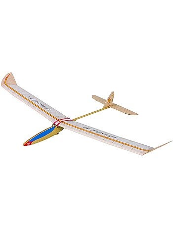 Planeur lilienthal 31