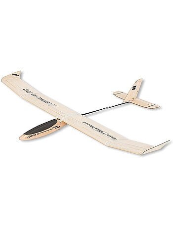 Planeur lilienthal 40 rc