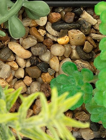 Plante à suspendre avec pot en métal