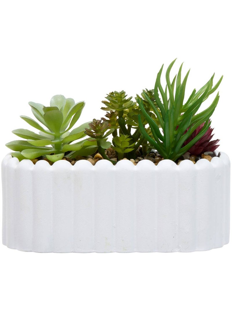 Plante artificielle 12cm WIDA Blanc - Kiabi