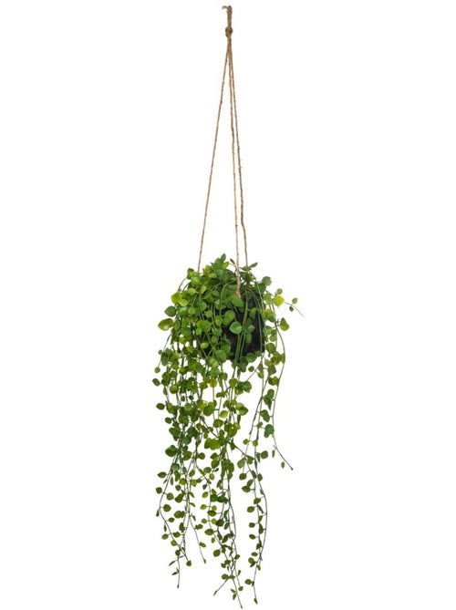 Plante artificielle à suspendre LIVING - Kiabi