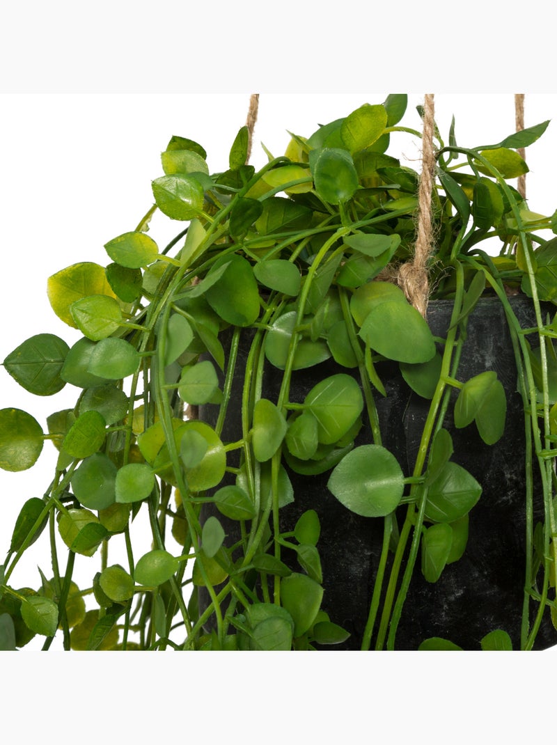 Plante artificielle à suspendre LIVING Vert - Kiabi