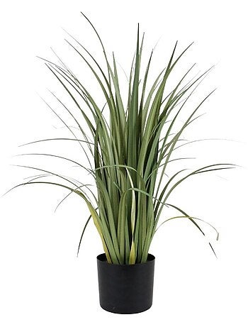 Plante artificielle acorus 80cm