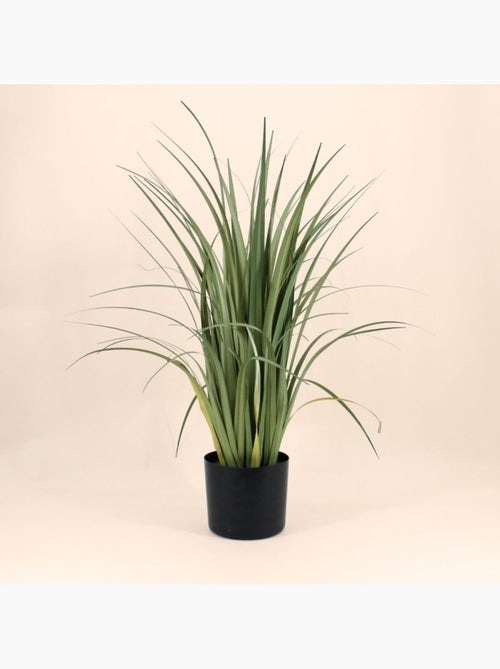 Plante artificielle acorus 80cm - Kiabi Plante artificielle acorus 80cm - Kiabi