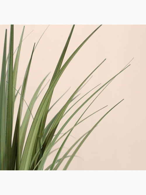 Plante artificielle acorus 80cm - Kiabi Plante artificielle acorus 80cm - Kiabi