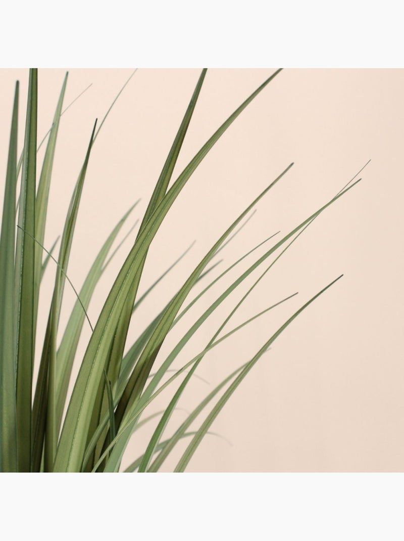 Plante artificielle acorus 80cm Vert - Kiabi