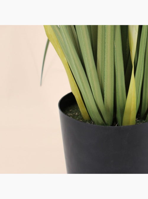 Plante artificielle acorus 80cm - Kiabi Plante artificielle acorus 80cm - Kiabi