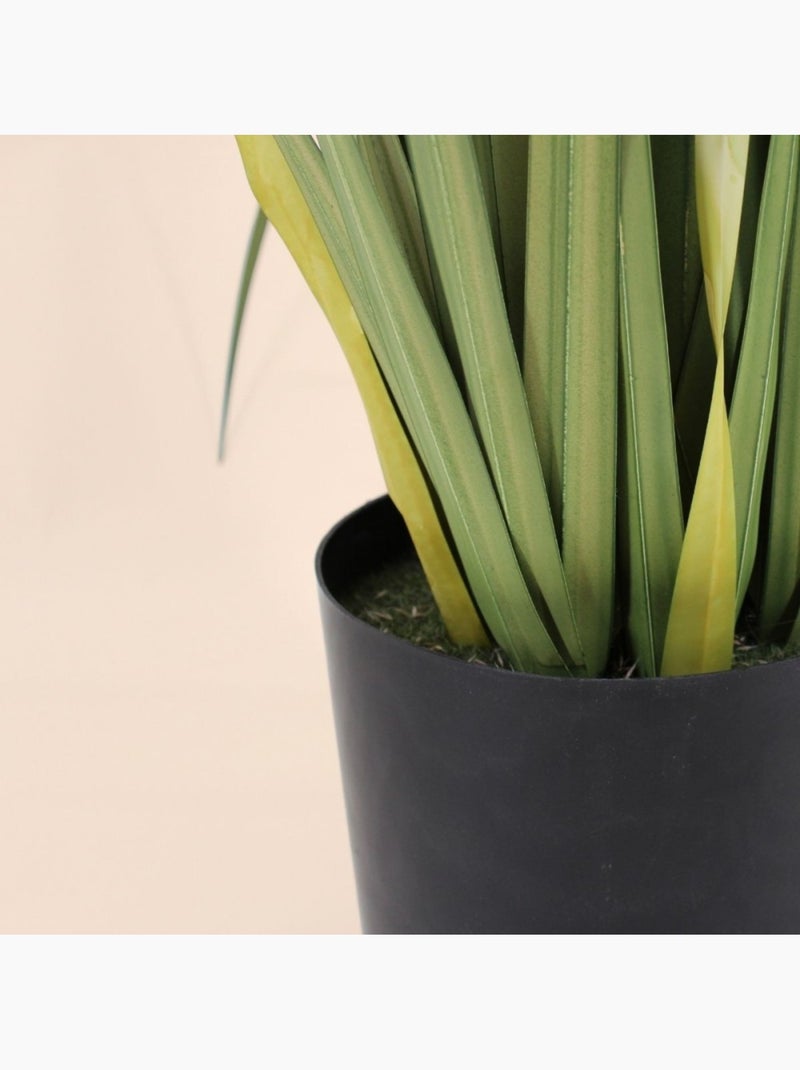 Plante artificielle acorus 80cm Vert - Kiabi