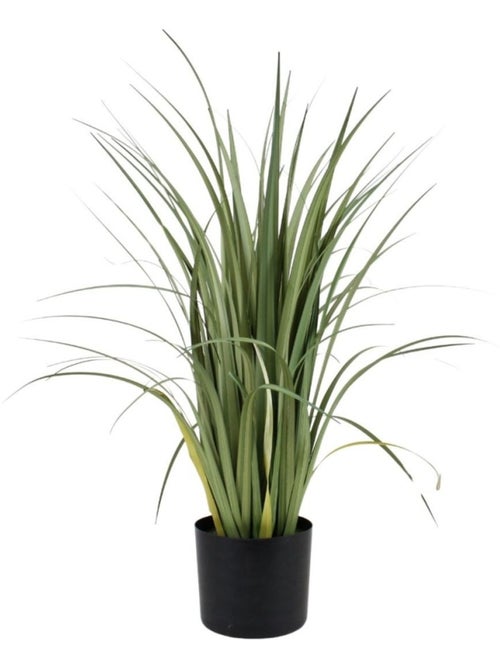 Plante artificielle acorus 80cm - Kiabi Plante artificielle acorus 80cm - Kiabi