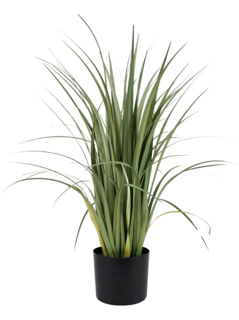 Plante artificielle acorus 80cm Vert - Kiabi