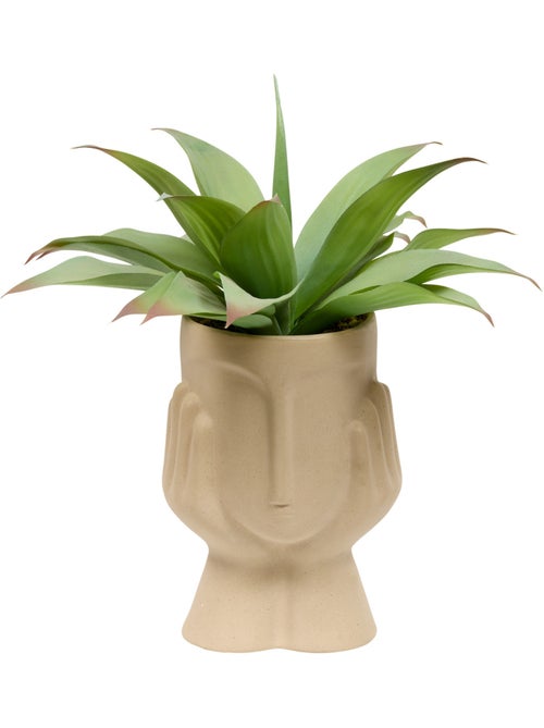 Plante artificielle agave H48cm SIEN - Kiabi