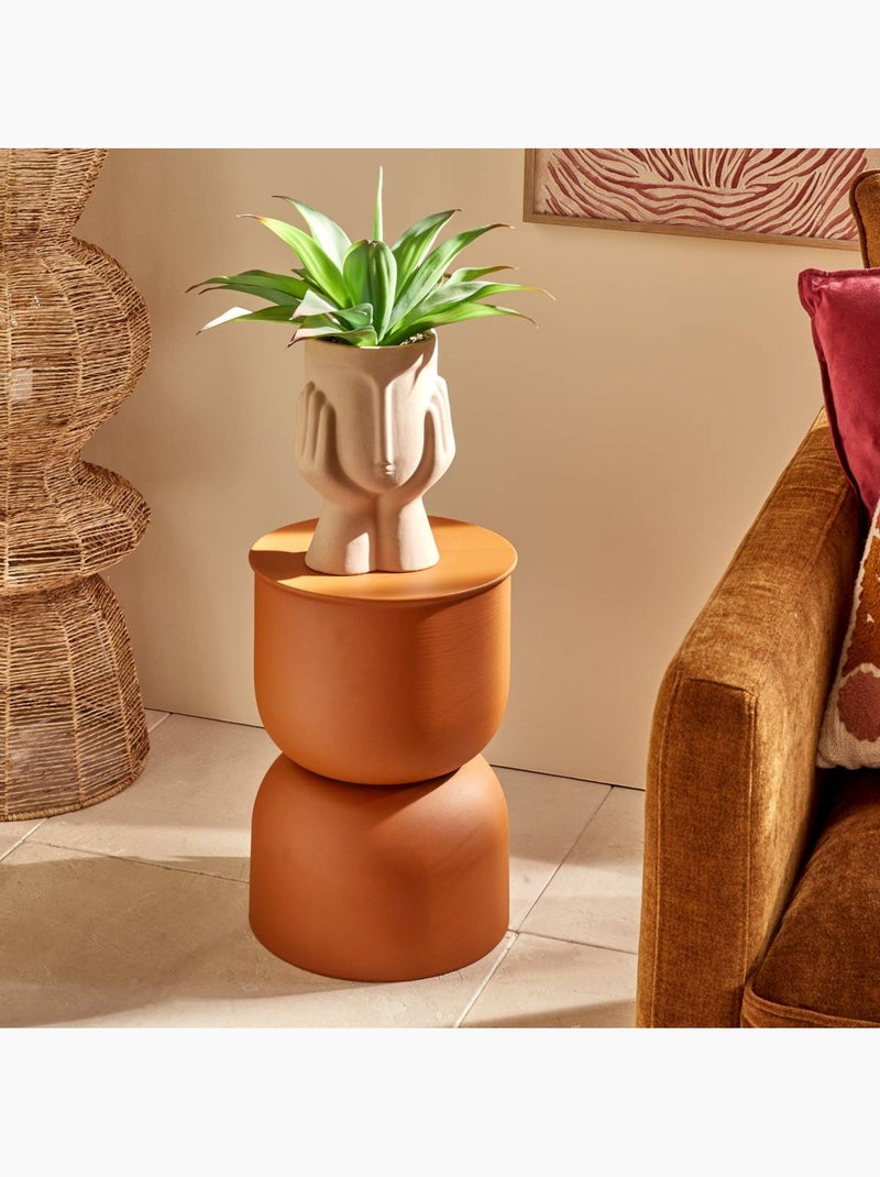 Plante artificielle agave H48cm SIEN Multicolore - Kiabi