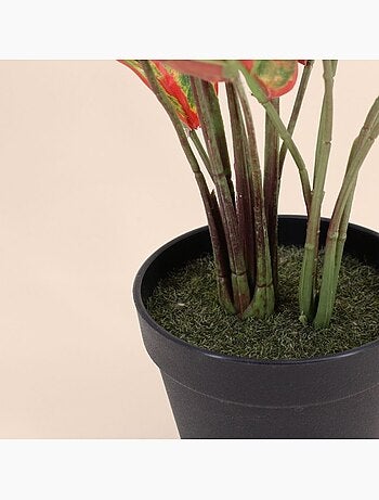 Plante artificielle Aglaonème + pot - AFIBEL