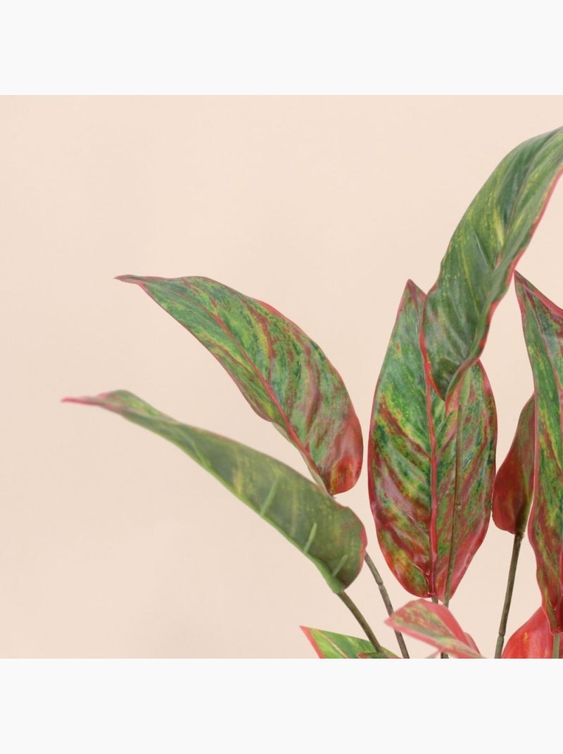 Plante artificielle Aglaonème + pot - AFIBEL Noir - Kiabi