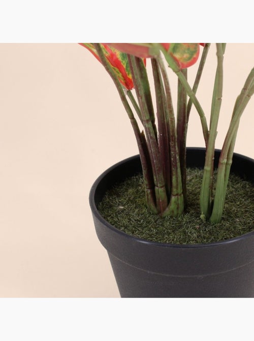 Plante artificielle Aglaonème + pot - AFIBEL - Kiabi