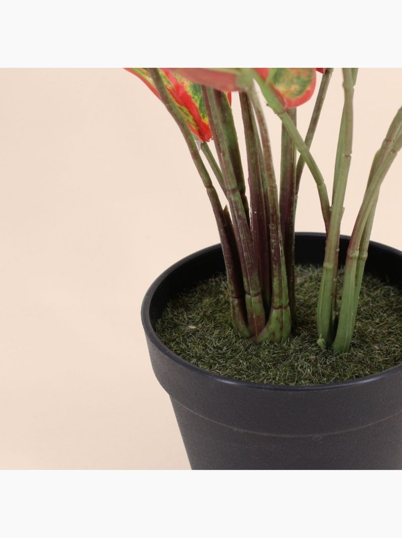 Plante artificielle Aglaonème + pot - AFIBEL Noir - Kiabi