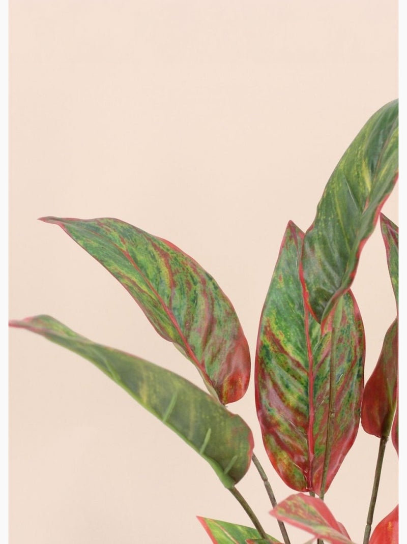 Plante artificielle Aglaonème + pot - AFIBEL Noir - Kiabi