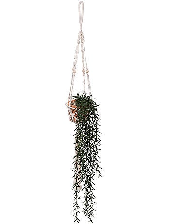 Plante artificielle ALI