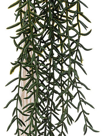 Plante artificielle ALI