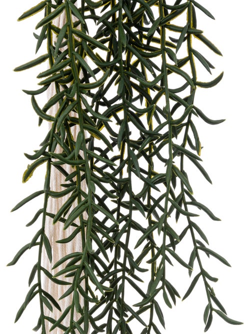 Plante artificielle ALI - Kiabi