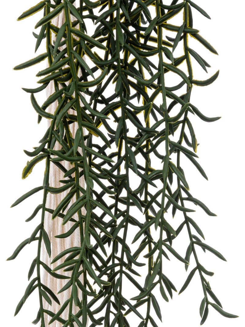 Plante artificielle ALI Vert - Kiabi