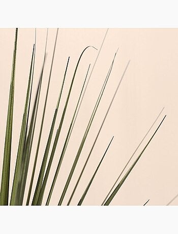 Plante artificielle asparaga 66cm