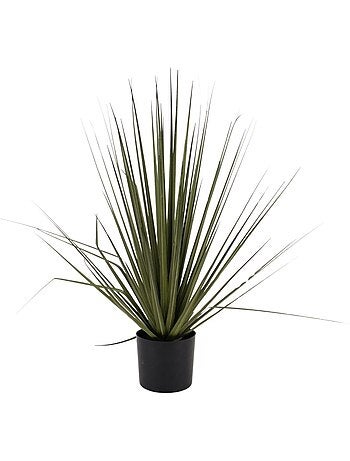 Plante artificielle asparaga 66cm