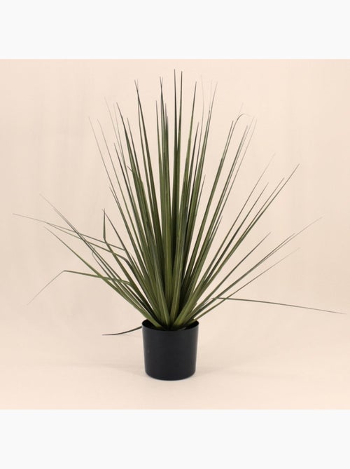 Plante artificielle asparaga 66cm - Kiabi