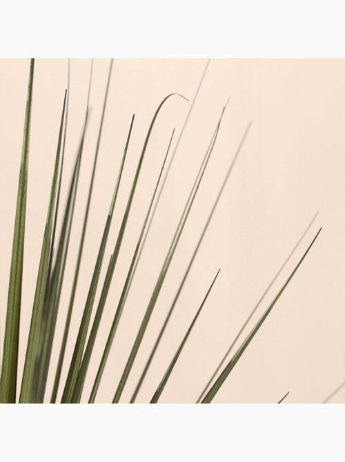 Plante artificielle asparaga 66cm - Kiabi