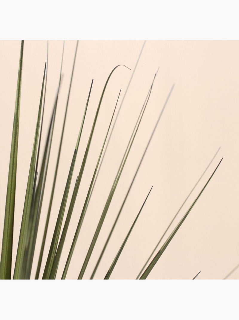 Plante artificielle asparaga 66cm Vert - Kiabi