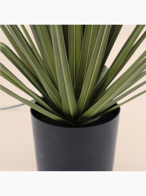 Plante artificielle asparaga 66cm - Kiabi
