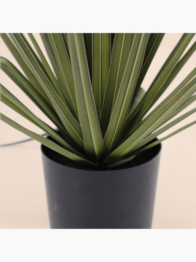 Plante artificielle asparaga 66cm Vert - Kiabi