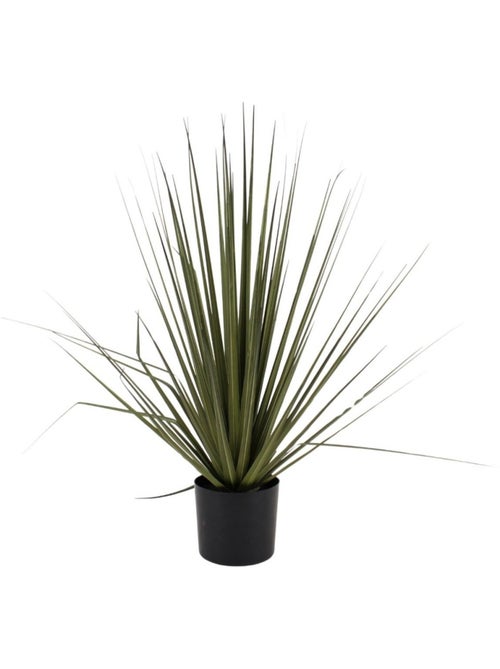Plante artificielle asparaga 66cm - Kiabi